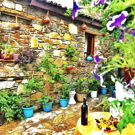 Sirincem Pension Selçuk Extérieur photo